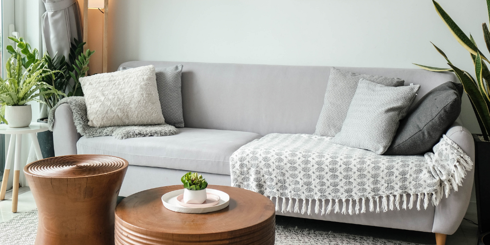 Sandton , lonehill carpet and couch cleaners